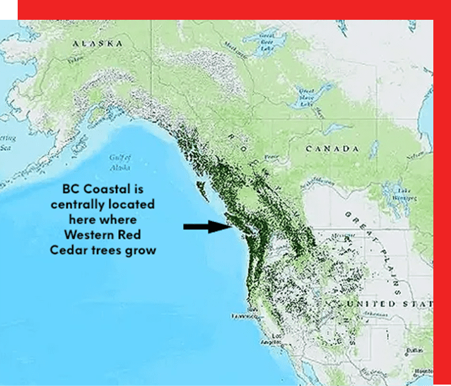 A map of the coast line with red cedar trees growing.